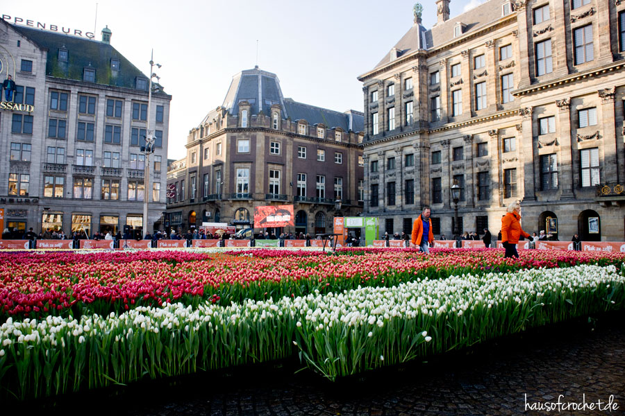 7 Reisetipps für Amsterdam im Januar - Nationaler Tulpentag